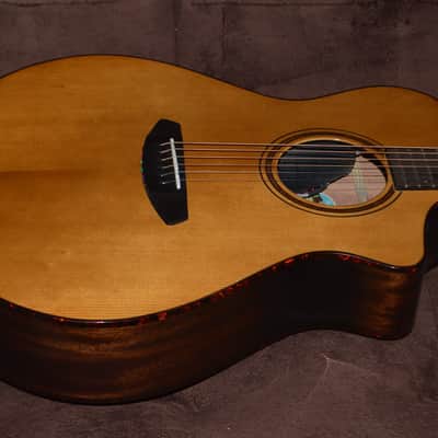 Breedlove Organic Pro Performer Thinline 2024 - Gloss image 1