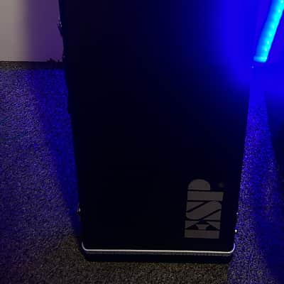 ESP E-II M-1 NT 2024 - Arctic White image 9