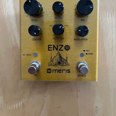 Meris Enzo Multi-Voice Synthesizer image 2