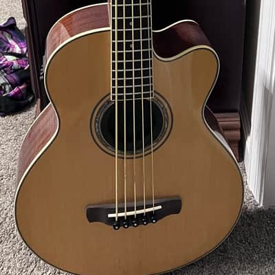Ibanez AEB105b 2022 - High gloss