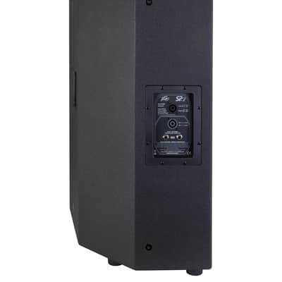 Peavey SP 2 Passive 1000-Watt 2-Way Speaker image 2