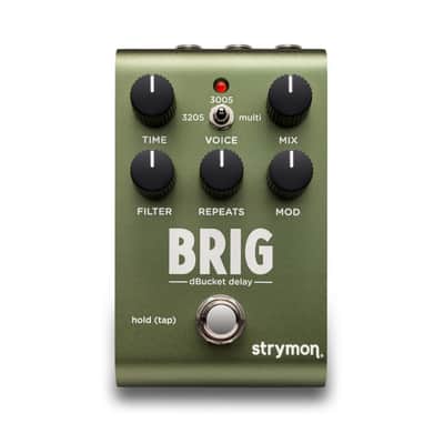 Strymon Brig dBucket Delay - Free Shipping - 2 Year Warranty image 1
