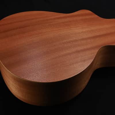 Taylor 24ce Mahogany Top with African Sapele Back and Sides with Fishman Pickup NEW PRODUCT 320 image 5