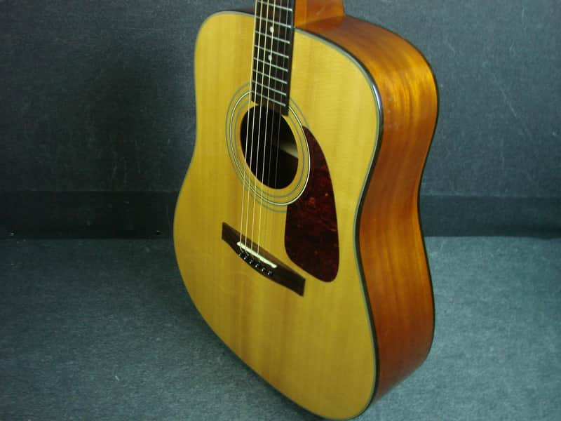 Fender DG-20S Dreadnought Acoustic Guitar W/Case DG20S | Reverb