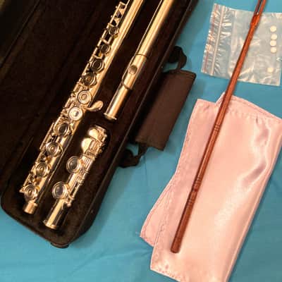 Unbranded-Step Up Student Model Flute-Open Hole, C Foot Split E-Case and Extras! image 1