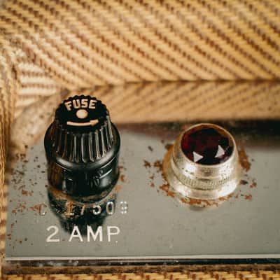 1962 Fender Champ Amp Tweed 5F1 image 8