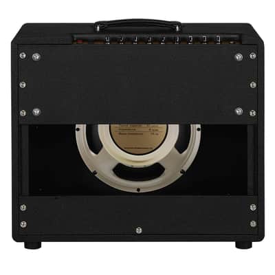 Friedman Runt 50 Combo image 2