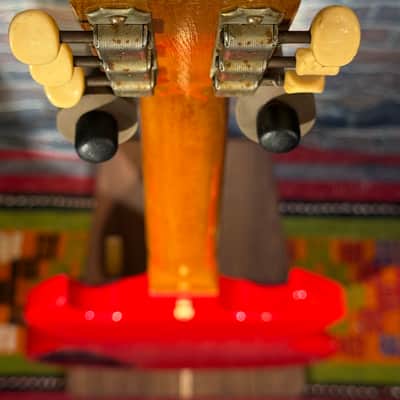 Gibson Melody Maker D 1967 - Red image 15