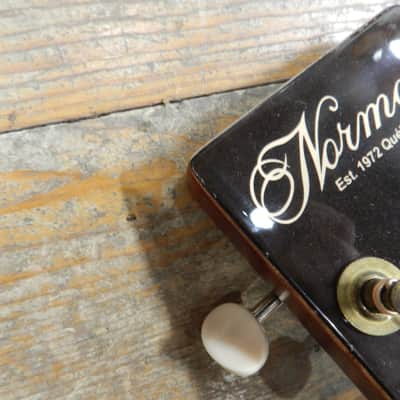 Norman B20 Natural GT Presys II SF image 10