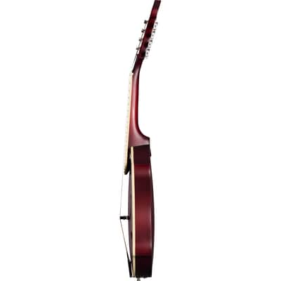 Epiphone F-5 Studio 8-String Mandolin - Wine Red Satin image 4