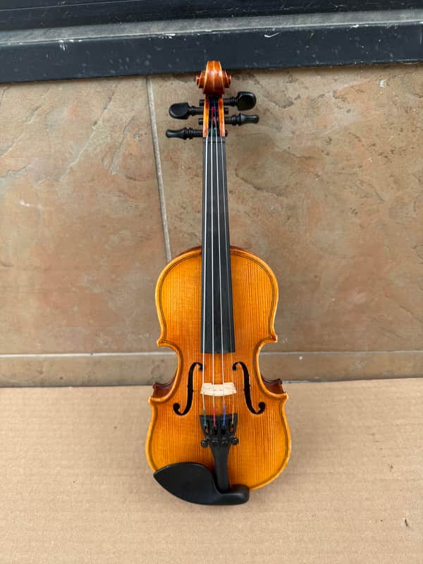 Cielo Dolce 1/16 Size Violin Outfit w/ Case - Used, Good | Reverb