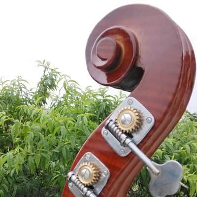 SCHONA SDBT-02BE - 4/4 Double Bass Gloss Finish Beginner Practice Contrabass Linden Wood Top Back Side Artificial Tiger image 6