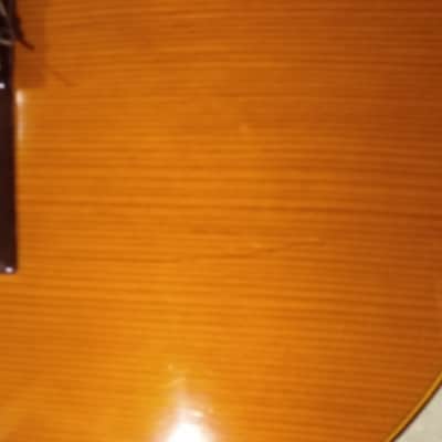 M.G. Contreras 1985 M-14 Spanish Classical Guitar (Guitarra Estudio) image 19