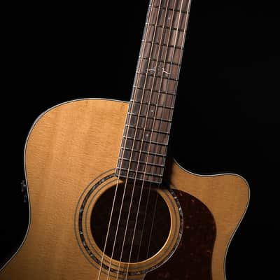 Cort All Solid Woods Gold Series A6 Auditorium w/ Fishman Flex Blend Electronics, Case image 16