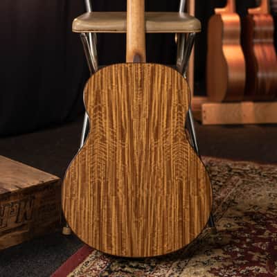 Washburn BTS9CH Bella Tono Novo S9 Studio Shape Spruce Top Okoume Neck 6-String Acoustic Guitar image 6