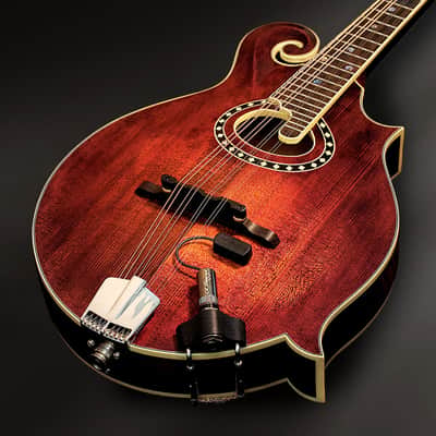 LR Baggs | Radius-M Mandolin Pickup with External Jack Mount. New with Full Warranty! image 2