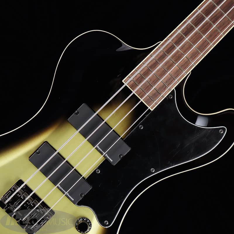 ESP D-TR (RU-DRIVE Arch) [Dir en grey Toshiya Model] -Made in