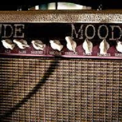 Rude Mood Amplifier, 2x10 boutique stereo, 2 amps (Fender and Marshall inspired) in one! image 2