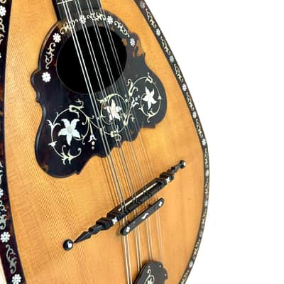 Umberto Ceccherini Mandola / Octave Mandolin (Giovanni Palladino Label) 1896 image 5