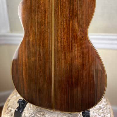 Asturias A18-11 11 String Altoguitar Alto Guitar image 4