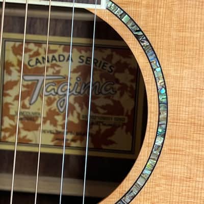 Tagima Canada Series Vancouver acoustic-electric guitar with hardshell case image 8
