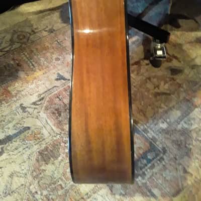Alvarez 5221 12 String Mahogany image 8