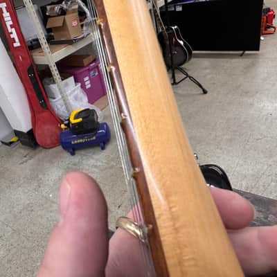 Fender Player Stratocaster with Pau Ferro Fretboard 2018 - 2024 image 6
