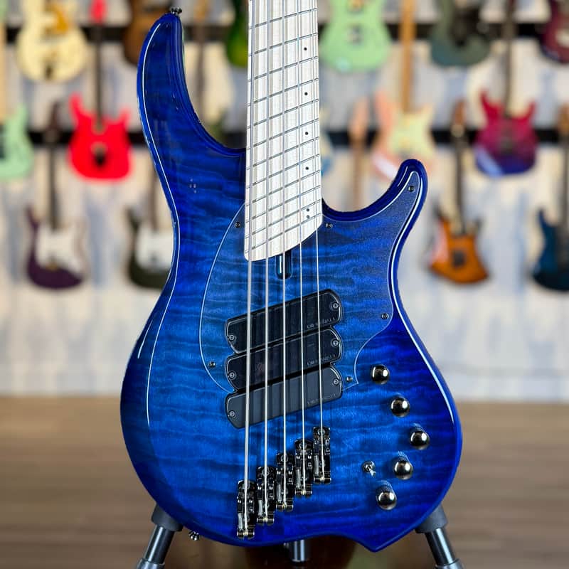 Dingwall Combustion 5 | Reverb Canada