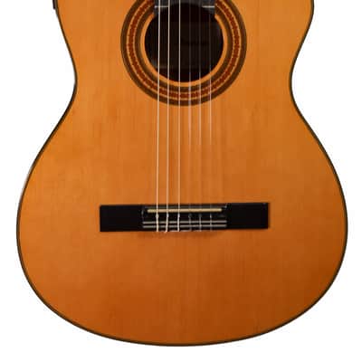 Ibanez GA6CE-AM Classical Cutaway Nylon String Acoustic Guitar 2026 - Natural Gloss Finish image 2