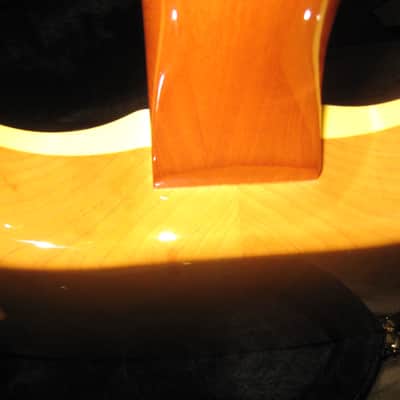 Hamer Newport Pro BE image 12