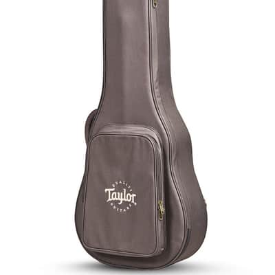 Taylor Super Aero GS Mini Case