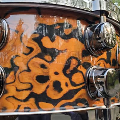 Mapex Orion 2008 - Chocolate Burl image 13