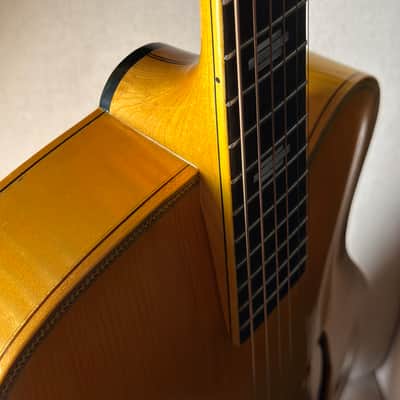 Bozo Podunavac 17" Acoustic Archtop with Calton Case image 9