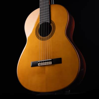 Pre Owned Yamaha GC22S Classical Acoustic Guitar With Soft Shell Case image 4