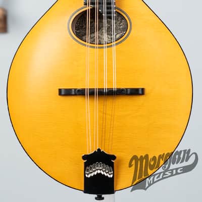 Collings MTO Mandolin- Oval Hole | Reverb