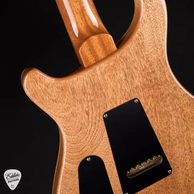 PRS 40th Anniversary Custom 24 Limited Edition - Tiger Eye image 12