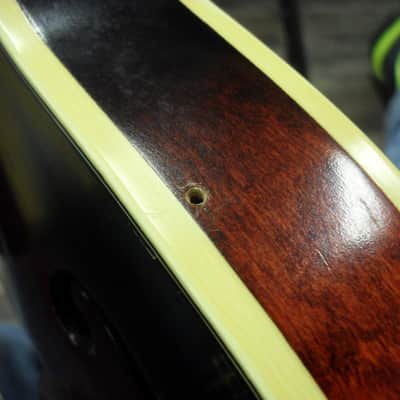 Ibanez 529 F-Style 1981 Sunburst image 13