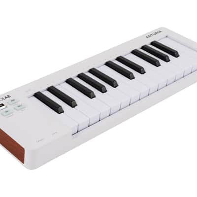 Arturia MicroLab MK3 25-Key USB MIDI Keyboard Controller Bild 3