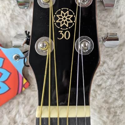 Tagima Model TW30AEQ Dreadnought Cutaway Electric/Acoustic guitar -B stock image 6