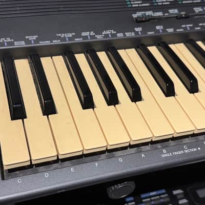 Yamaha PSR 19 image 6
