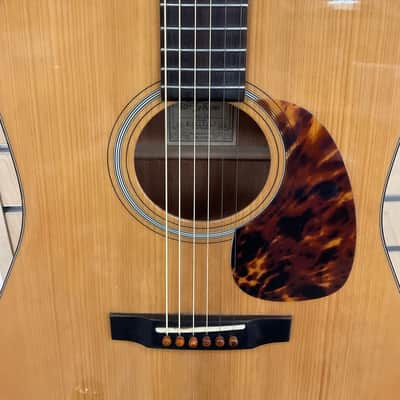 Recording King RD-T16 Torrefied Red Spruce Top Dreadnought 2010s - Natural Gloss image 3