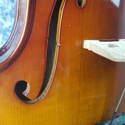 Stagg VA15 Solid Maple Full Size Viola Outfit - Re-Sale (Good Condition) image 5