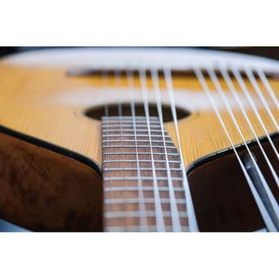 1943 Levin Model 102 12-string Bass Lute natural image 20