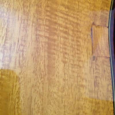 2020 Darren Hippner Shivam Acoustic Guitar Luthier Sitka Spruce OM Auditorium Model Waverly OHSC USA image 16
