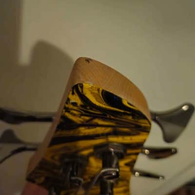 Dingwall NG Adam "Nolly" Getgood Signature 5-String image 6