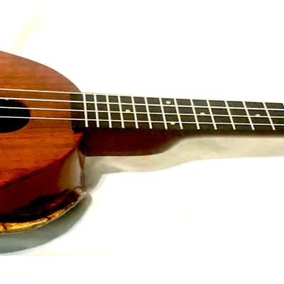 Turtle Shell Tenor Ukulele image 7