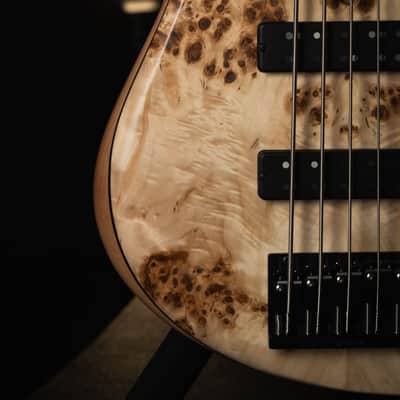 Fodera Emperor 5 Standard Special Poplar Burl 2023 image 5