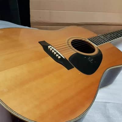 90's SAMICK DREADNOUGHT - TREE OF LIFE image 2