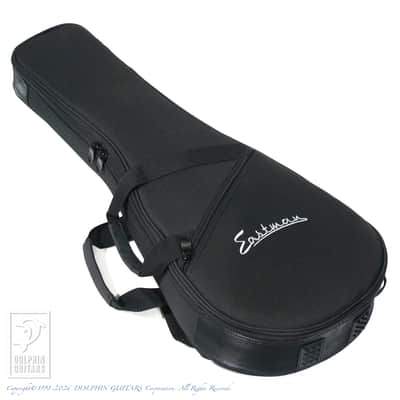 Eastman MD-315E/SB image 9