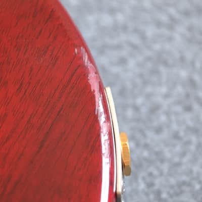 PRS Custom 24 30th Anniversary Artist image 21